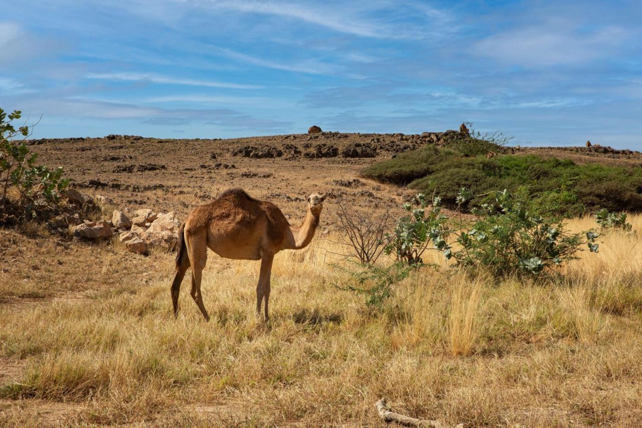 Alila Hinu Bay Salalah Mirbat Hotell Exteriör bild